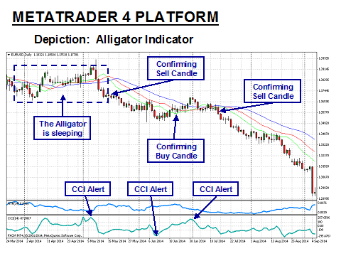 Alligator Indicator Depiction