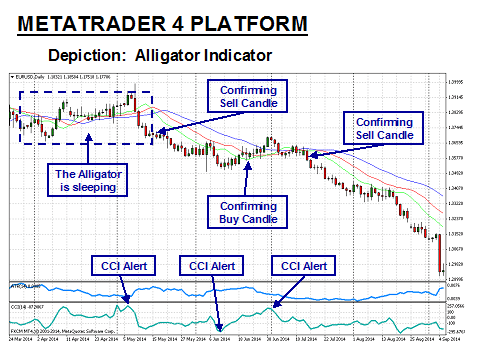 Trading with alligator indicator
