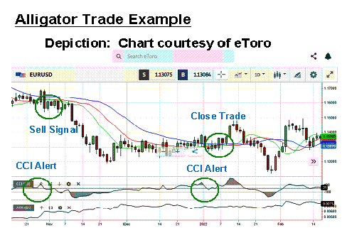 Alligator trade example