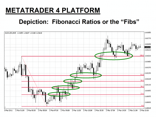 Fibonacci forex explained