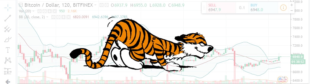 BTC Chart Header