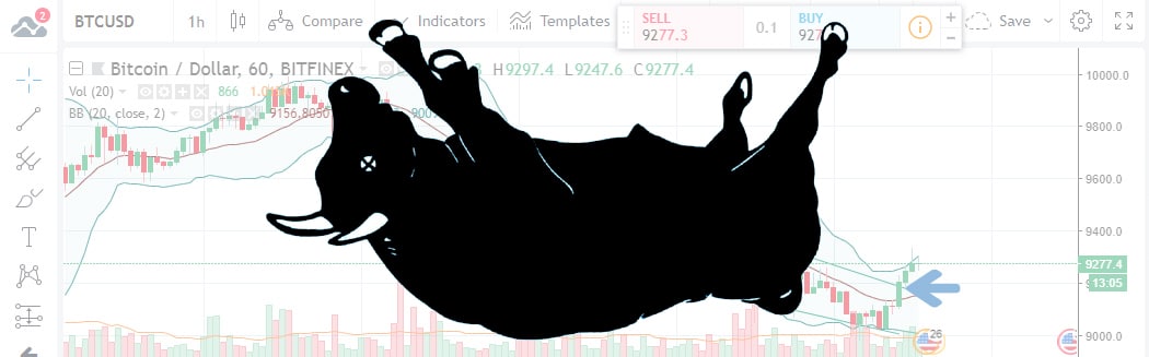 BTC Header Image