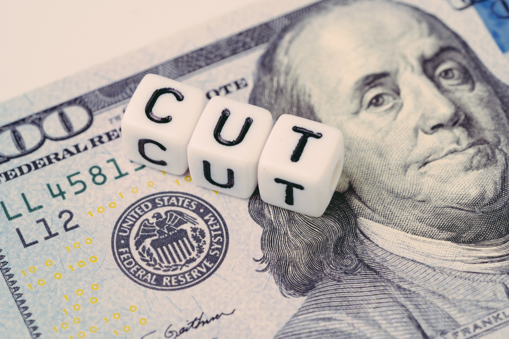 How Central Banks Impact the Forex Market how do fed cut rate affect forex market