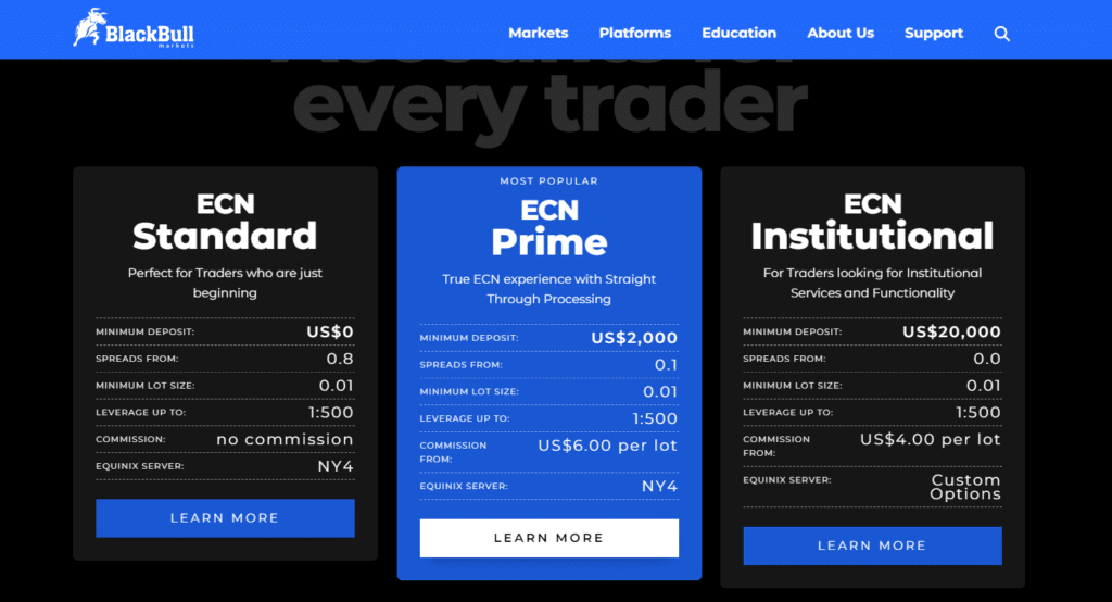 blackbull markets account types