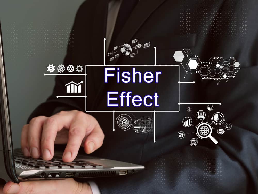 fisher effect presentation